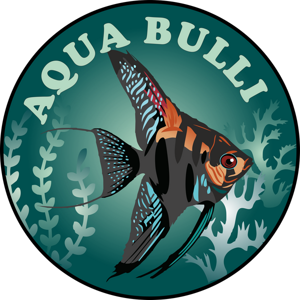 Aqua Bulli