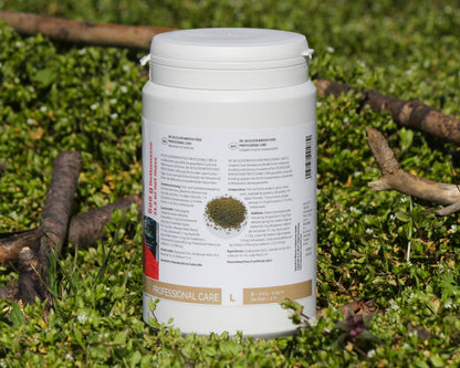 Dr. Bassleer Biofish-Food Professional Care L 600g